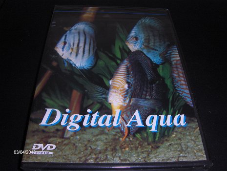 The Hermitage+Digital Aqua+Het jaar 1941 in Beeld+Buena Vista Social Club. - 2