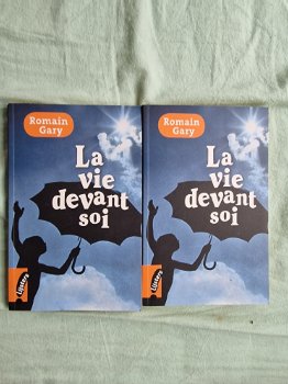 Franse (school)boeken - 2