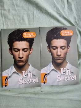 Franse (school)boeken - 3