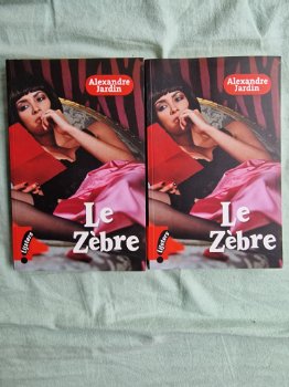 Franse (school)boeken - 5