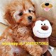 Schoon Maltipoo Baby's Gaan - 0 - Thumbnail