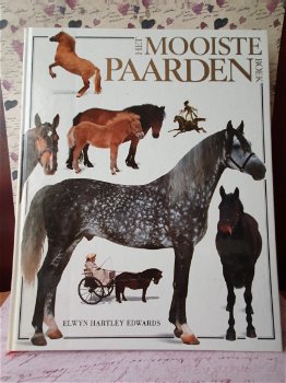 Het mooiste paarden boek - 0