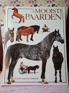 Het mooiste paarden boek