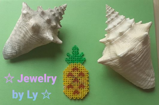 Handmade koelkastmagneet ananas Jewelry by Ly - 0