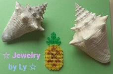 Handmade koelkastmagneet ananas Jewelry by Ly