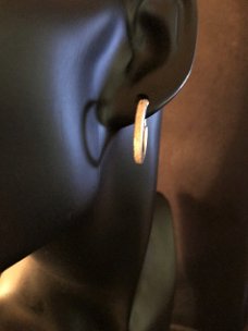 zilveren oorbellen gediamanteerd 