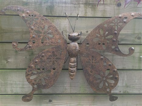 vlinder, tuinvlinder , muur decoratie - 0