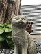 tuinbeeld , kat , poes - 2 - Thumbnail