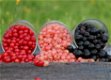 Aalbessen heerlijke rode, witte of zwarte bessen in soorten aangeboden - 0 - Thumbnail