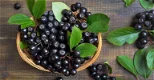 Appelbessen (Aronia) supergezonde vruchten en heerlijk om jam of sap te maken. - 0 - Thumbnail