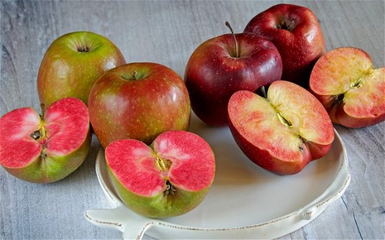 Fruitbomen, appels, peren, pruimen, kersen, abrikozen, nectarine en perzik - 5