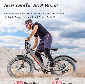 Eleglide Tankroll Electric Mountain Bike 26*4.0 Inch Fat Tires 250W - 2