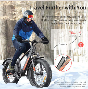 Eleglide Tankroll Electric Mountain Bike 26*4.0 Inch Fat Tires 250W - 3