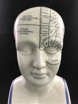 PHRENOLOGY , hoofd - 4