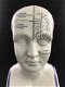 PHRENOLOGY , hoofd - 4 - Thumbnail