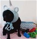 Pug puppy beschikbaar voor adoptie. - 1 - Thumbnail