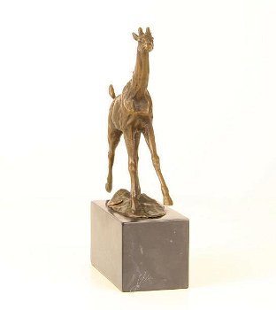 Giraffe brons beeld , giraffe , brons - 1