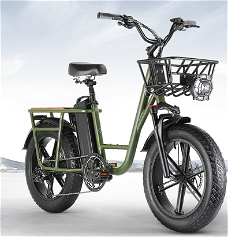 FIIDO T1 Cargo Electric Bike F Tires 750W 50Km/h 150KM Range