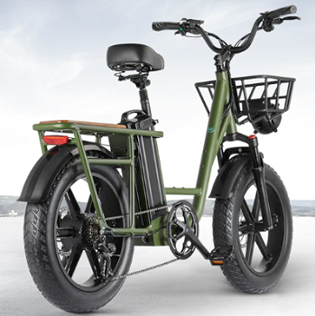 FIIDO T1 Cargo Electric Bike F Tires 750W 50Km/h 150KM Range - 1