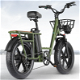 FIIDO T1 Cargo Electric Bike F Tires 750W 50Km/h 150KM Range - 1 - Thumbnail