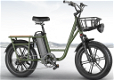 FIIDO T1 Cargo Electric Bike F Tires 750W 50Km/h 150KM Range - 2 - Thumbnail