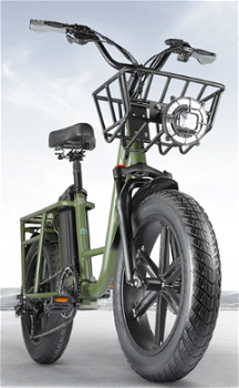 FIIDO T1 Cargo Electric Bike F Tires 750W 50Km/h 150KM Range - 3