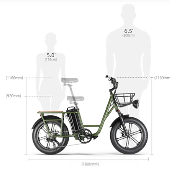 FIIDO T1 Cargo Electric Bike F Tires 750W 50Km/h 150KM Range - 4