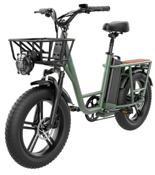 FIIDO T1 Cargo Electric Bike F Tires 750W 50Km/h 150KM Range - 5