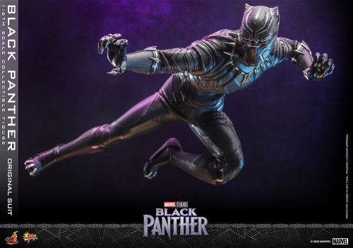 Hot Toys Black Panther Legacy Original Suit MMS671 - 5