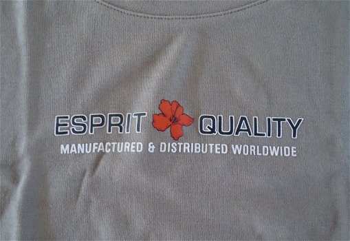 Te koop een beige T-shirt van Esprit met print (maat XL). - 1