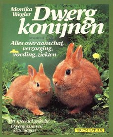 Monika Wegler ~ Dwergkonijnen
