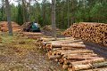 Verkoop van brandhout met gratis levering. - 1 - Thumbnail
