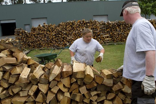 VERKOOP VAN GOEDE KWALITEIT BRANDHOUT, HOUT EN GRATIS VERZENDING. - 1