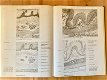 an atlas of Histology - 2 - Thumbnail