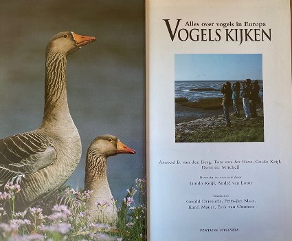 Vogels Kijken, alles over vogels in Europa - 3