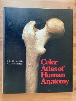 Color Atlas of Human Anatomy - 0