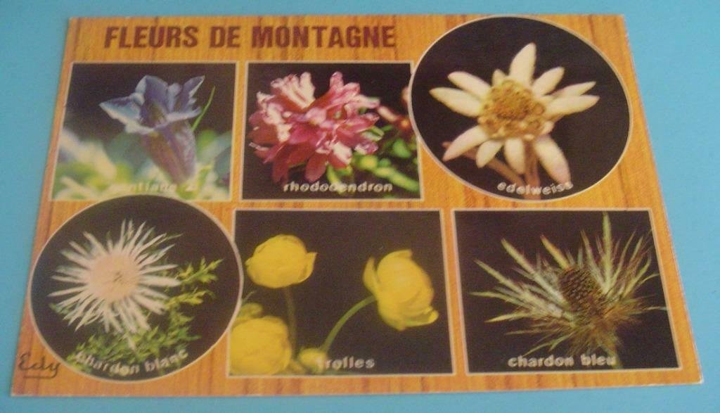 Kaart Fleurs de Montagne - nr. 1