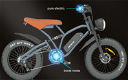 JANSNO X50 Electric Bike 20*4.0 Inch Fat Tire 750W - 1 - Thumbnail