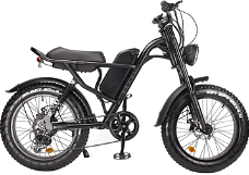 Z8 ELectric Bike 20*4.0'' Fat Tire 48V 500W Motor