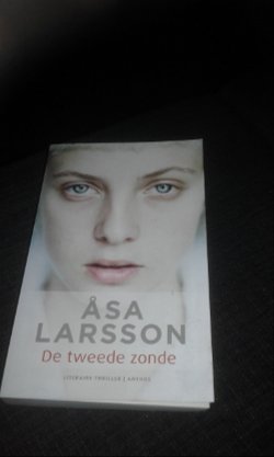 De tweede zonde - Asa Larsson