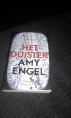 Het duister - Amy Engel
