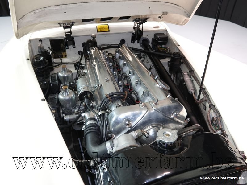 Jaguar XK 120 OTS '54 CH5368 - Afbeelding 6