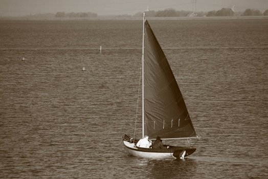 Houten scheepsmast. Holle mast of rondhout op maat gemaakt. - 4