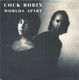Cock Robin – Worlds Apart (1989) - 0 - Thumbnail