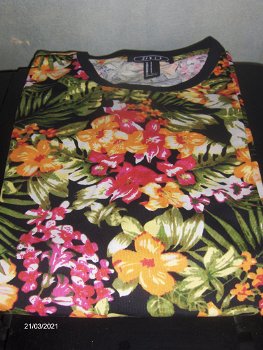 Kingfield Oranje Polo+Bruin T Shirt Zara+T Shirt van Men+T Shirt Zara+Guy Laroche Trui. - 4