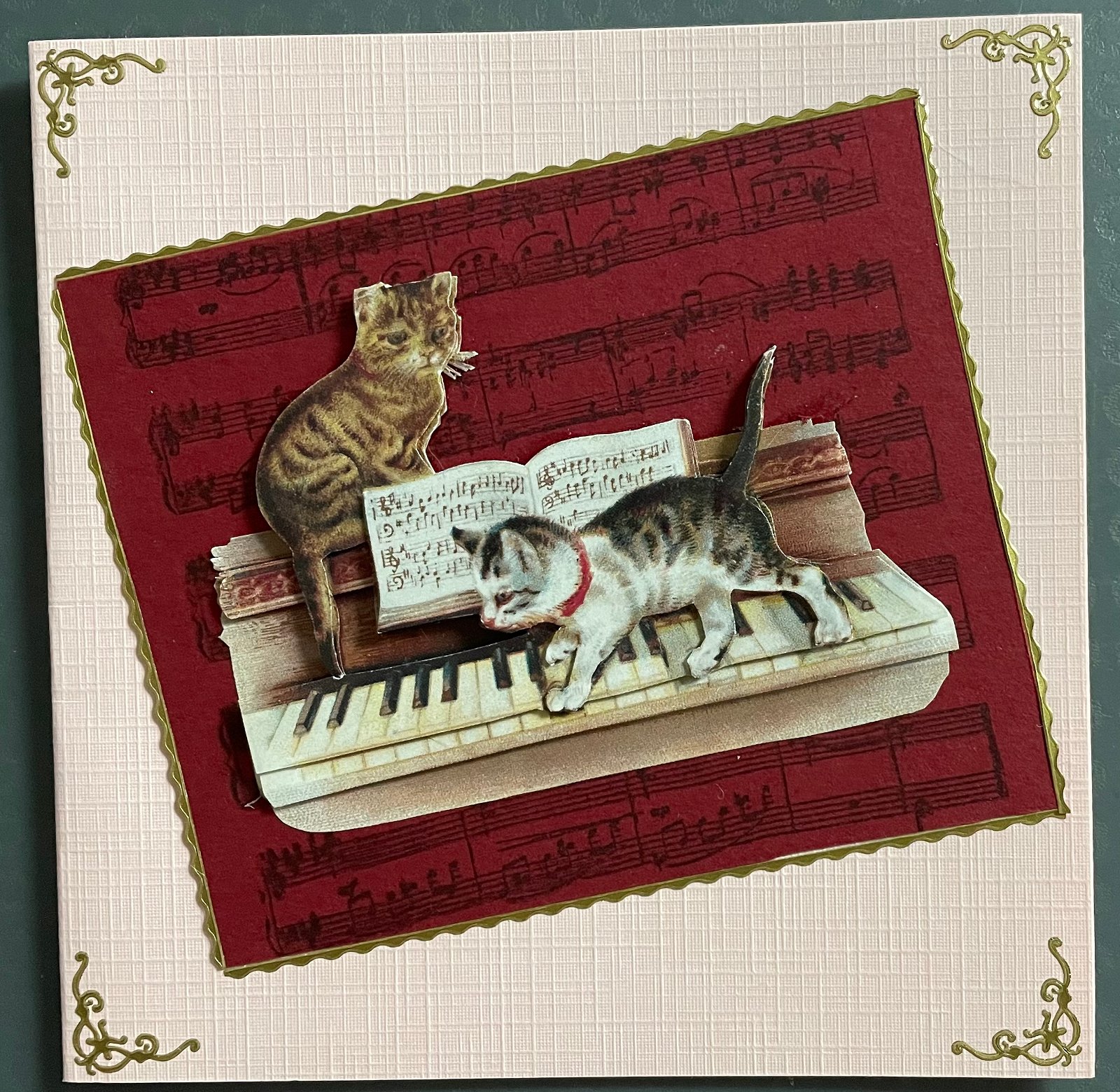 Dieren --- Poezen / Katten lopen over het toetsenbord - nr. 1