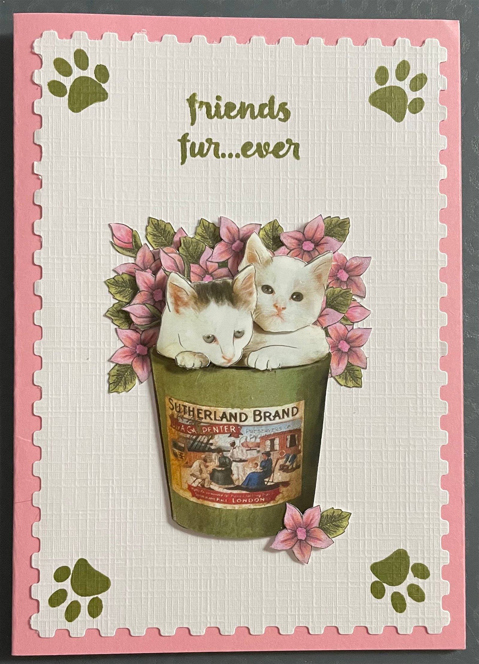 Dieren --- Poezen / Katten in een bloempot - nr. 1