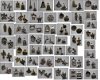 ruim 2500 verschillende soorten charms van tibetaans zilver - 1 - Thumbnail