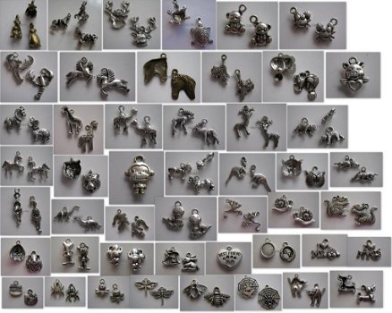 ruim 2500 verschillende soorten charms van tibetaans zilver - 7