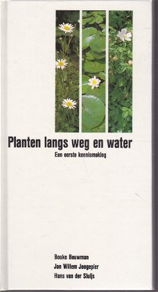 Planten langs weg en water